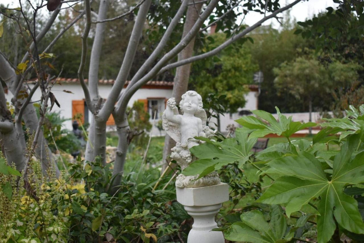 L'Oranger - Magnifique Studio Independant Sur Mougins Avec Jacuzzi Prive - Parking - Climatisation エクステリア 写真